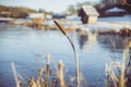 Reed on a winter lake in Denmark Royalty Free Stock Photo
