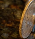 Reeded Edge of a Kennedy Half Dollar Royalty Free Stock Photo