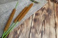 Reeds,  bulrush with sack, burlap on wooden background. Royalty Free Stock Photo