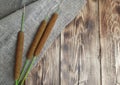 Reeds,  bulrush with sack, burlap on wooden background. Royalty Free Stock Photo