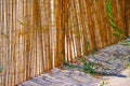 Reeds fence at beach entrance