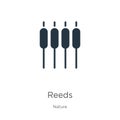 Reeds icon vector. Trendy flat reeds icon from nature collection isolated on white background. Vector illustration can be used for Royalty Free Stock Photo