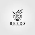 Reeds logo vector aquatic plant illustration design