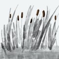 Reeds, marsh grass in water, abstract drawing