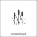 Reeds plant vector icon. Illustration of reeds on white isolated background Royalty Free Stock Photo