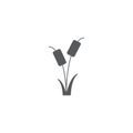 Reeds plant vector icon isolated on white background Royalty Free Stock Photo