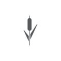 Reeds plant vector icon isolated on white background Royalty Free Stock Photo