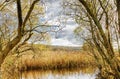 Reeds and pond at Leighton Moss, Lancashire