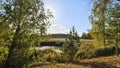 Reeds, rare pines and birches grow in the swamp, and the water rises in places to form a dangerous mire. Behind the swamp is a mix