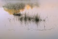 Reeds and Reflections at Sunrise Hall Lake