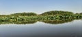 Reeds on the river. The field of lotuses. The flowering of pink lotuses. Volga River