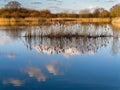 Reeds River Sky Clouds Reflections Royalty Free Stock Photo