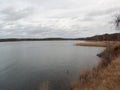 Reeds on a small lake on the east coast of Sweden