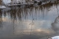 Reeds in the small river with snowy banks.