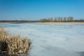 Reeds and snow on the shore of a frozen lake. Trees on the horizon and blue sky Royalty Free Stock Photo