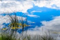 Reeds in Trapp Lake with Blue Sky and Clouds reflection on the smooth water surface Royalty Free Stock Photo
