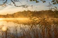 Reeds at the waters edge and the autumn morning fog on the lake at sunrise Royalty Free Stock Photo