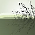 Reeds in the water - vector Royalty Free Stock Photo