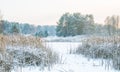 Reeds in winter frost and lake Royalty Free Stock Photo