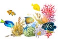 Reef with colorful corals, fish, sponge, anemones, starfish on a white background, hand drawn watercolor Royalty Free Stock Photo