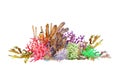 Reef with colorful corals, sponge, anemone and shell. Underwater landscape, hand drawn watercolor