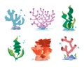 Reef corals, seaweeds, underwater wildlife plants vector set Royalty Free Stock Photo
