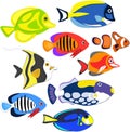 Reef fishes in paper art style Royalty Free Stock Photo