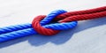 Reef knot or square Knot - 3D illustration