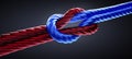 Reef knot or square Knot - 3D illustration