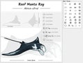 Reef manta ray infographic template Royalty Free Stock Photo