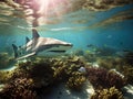 Ai Generated illustration Wildlife Concept of Reef Shark Close Royalty Free Stock Photo