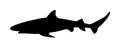 Reef shark vector silhouette isolated on white background. Sea predator. Danger on beach alert. Open jaws of beast. Royalty Free Stock Photo