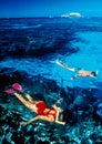 Reef snorkeling