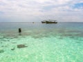 Reef in tropical sea