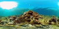 Coral reef and tropical fish underwater. Philippines. Virtual Reality 360 Royalty Free Stock Photo