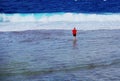 Reef Walking, Niue