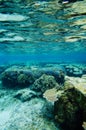 The Reef in YOSHINO Coast