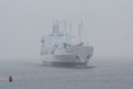 Reefer Humboldt Bay in sudden snow squall