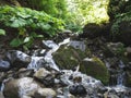 ÃÂ¡reek in a mountain forest. Caucasus mountains