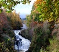 Reekie Linn near Kirriemuir, Angus, Scotland