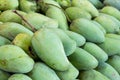 Reen mangoes in the fresh market Royalty Free Stock Photo