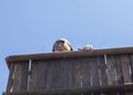 Reenactor over watchtower of a roman camp