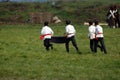 Reenactors dressed as Napoleonic war soldiers march on the battle field Royalty Free Stock Photo