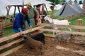 Reenactors show their skills. They feed farm animals