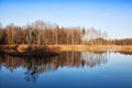 Rees are reflected in water