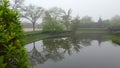 Refecting pond with trees on a foggy morning