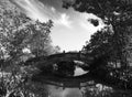 Refection of bridge in park