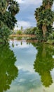 Refection of Palms and Bridge on Golf Course Pond Royalty Free Stock Photo