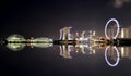 The refection view of Garden by the Bay - Singapore Royalty Free Stock Photo