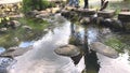 Refelction of Two People Walk Crossing Footpath on Natural Stone Pond. Water Ripple on Peaceful Pond